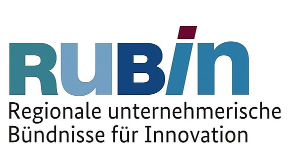 RUBIN-Logo.jpg